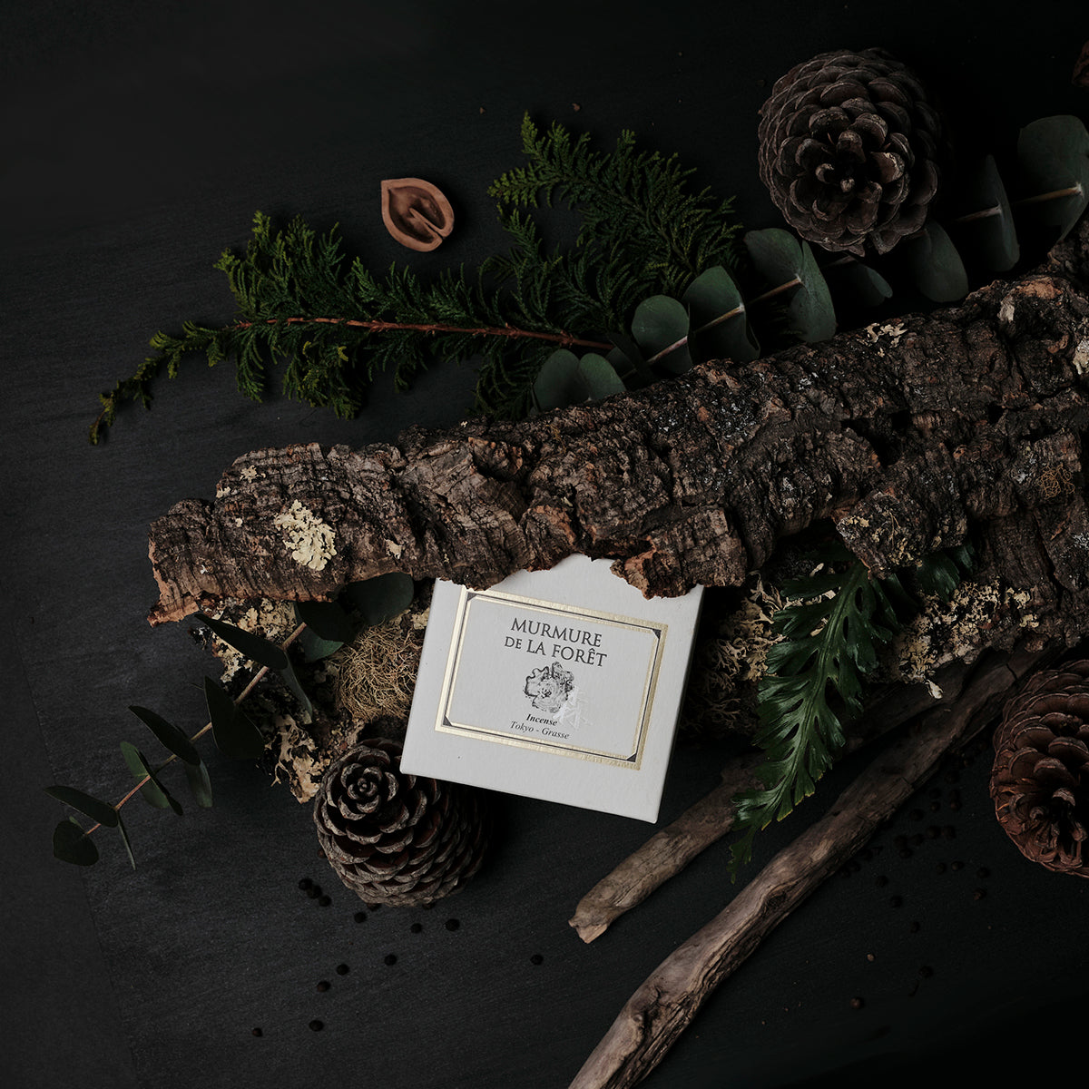 First Collection - Murmure De La Foret
